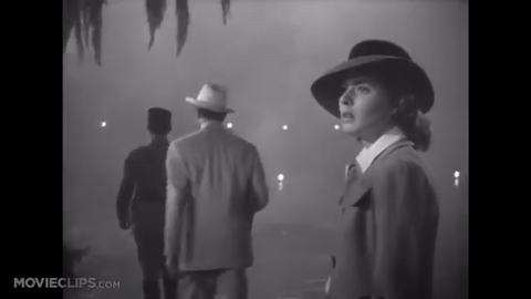 13714388_10153924252928477_281466735_n