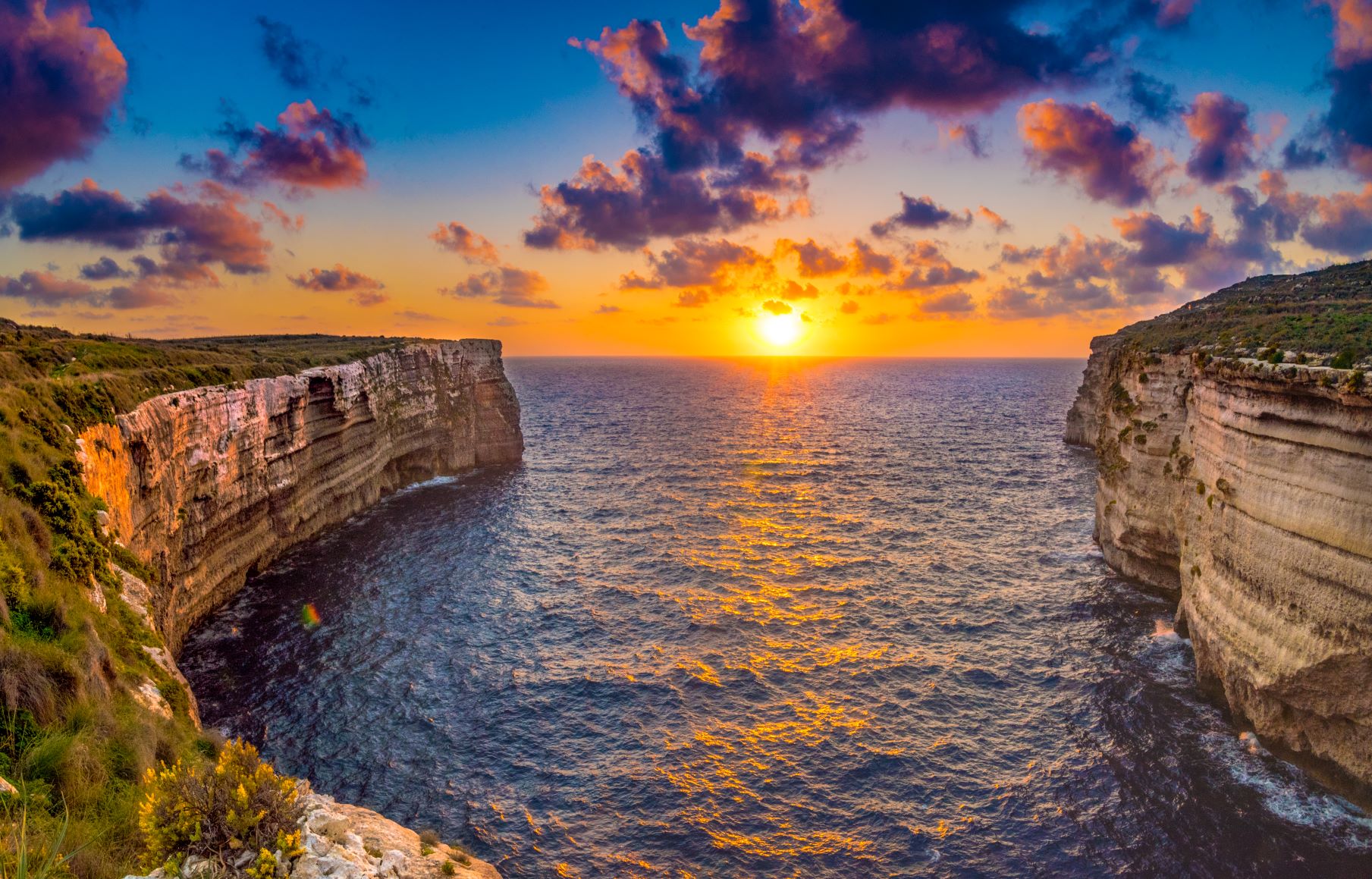 Thumbnail for Environmental Policy